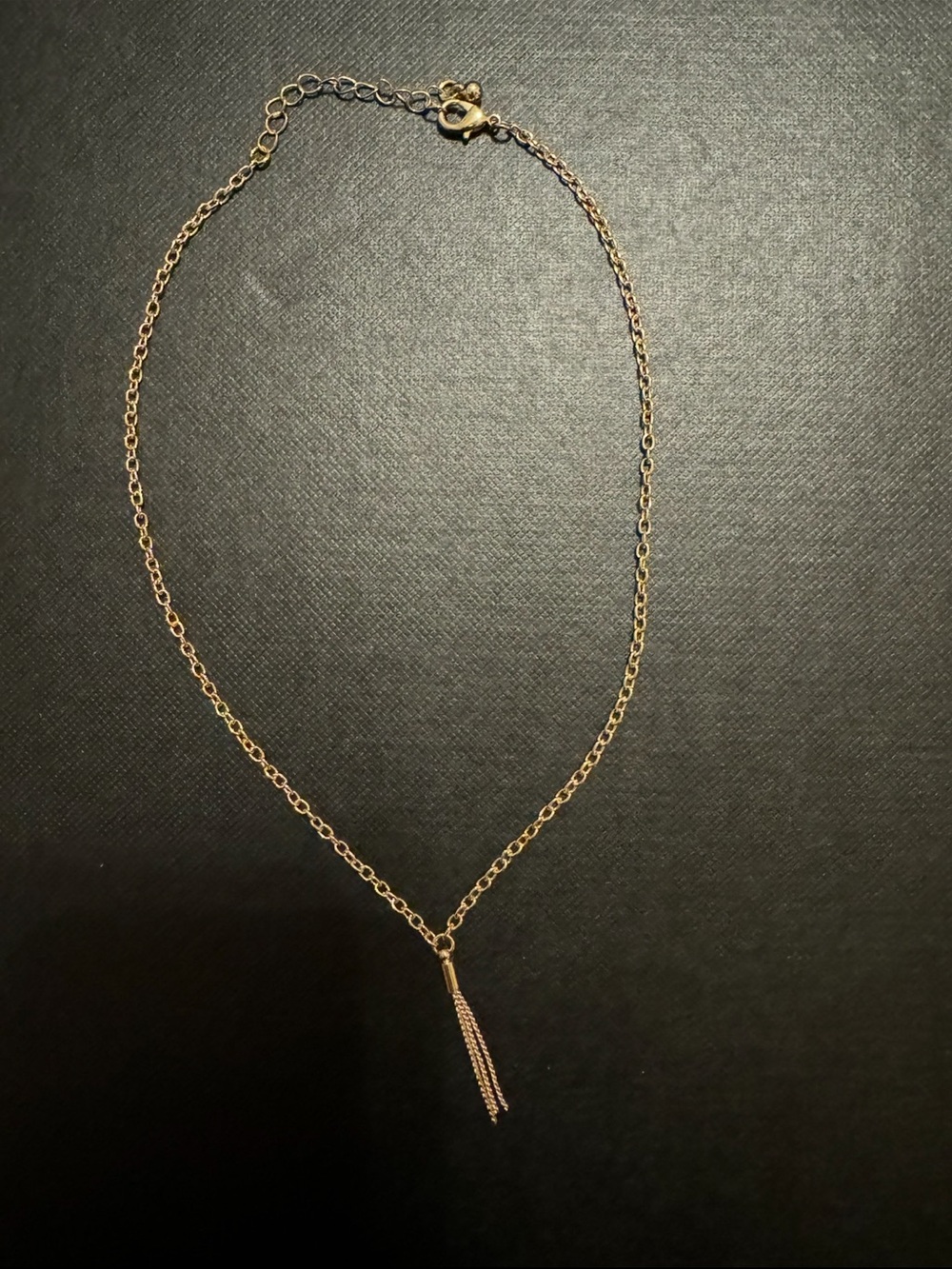 Monet Gold Tone Chain Necklace with Slim Tassel Accent‎